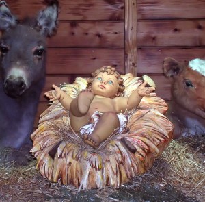 In a Manger